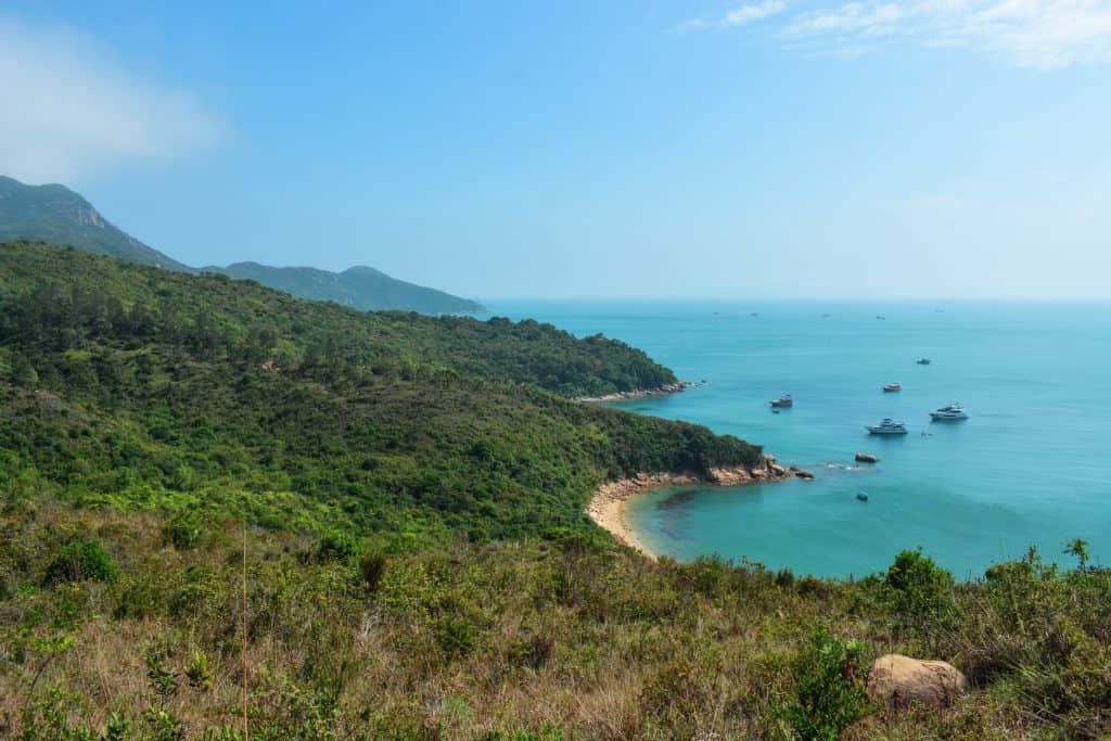 things to do in hong kong