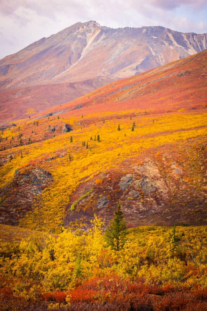 Yukon Road Trip