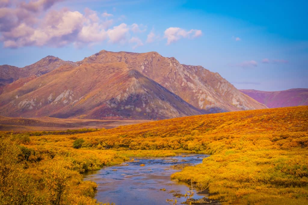 Yukon Road Trip