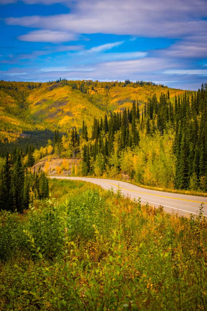 Yukon Road Trip