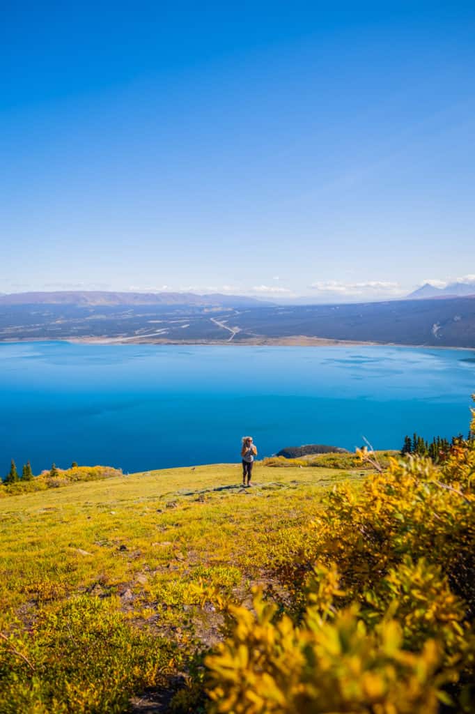 Yukon Road Trip