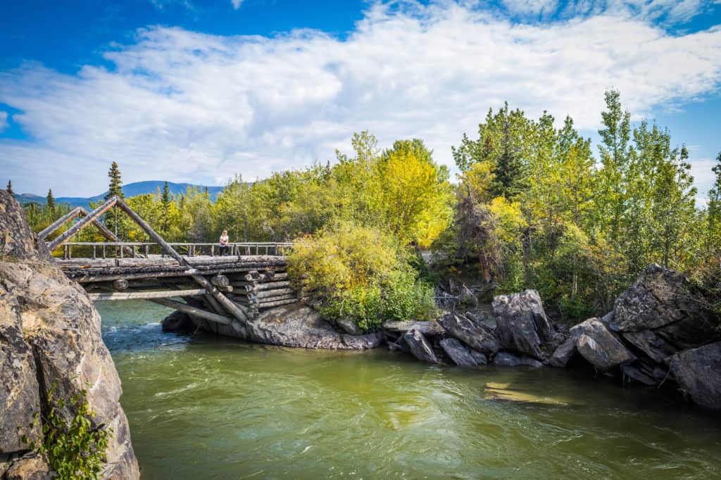 Yukon Road Trip