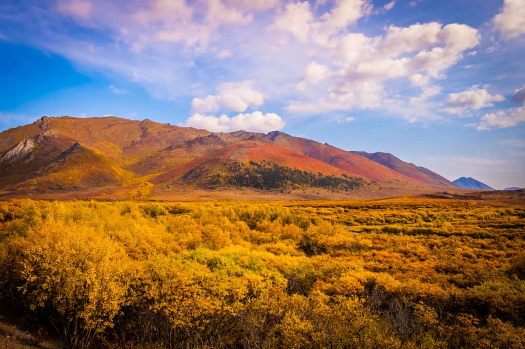 Yukon Road Trip