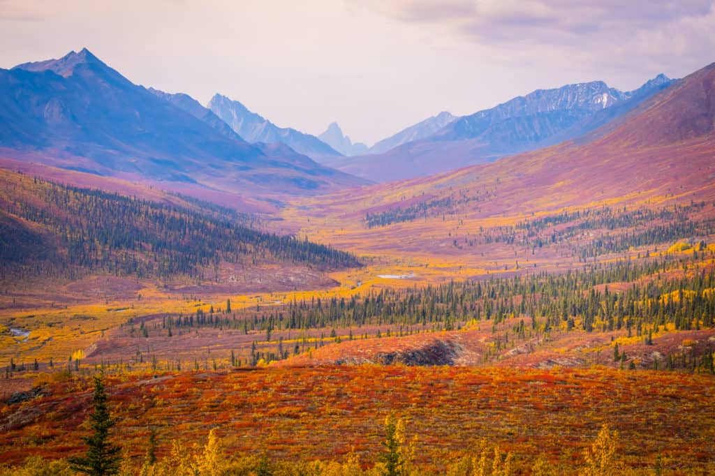 Yukon Road Trip