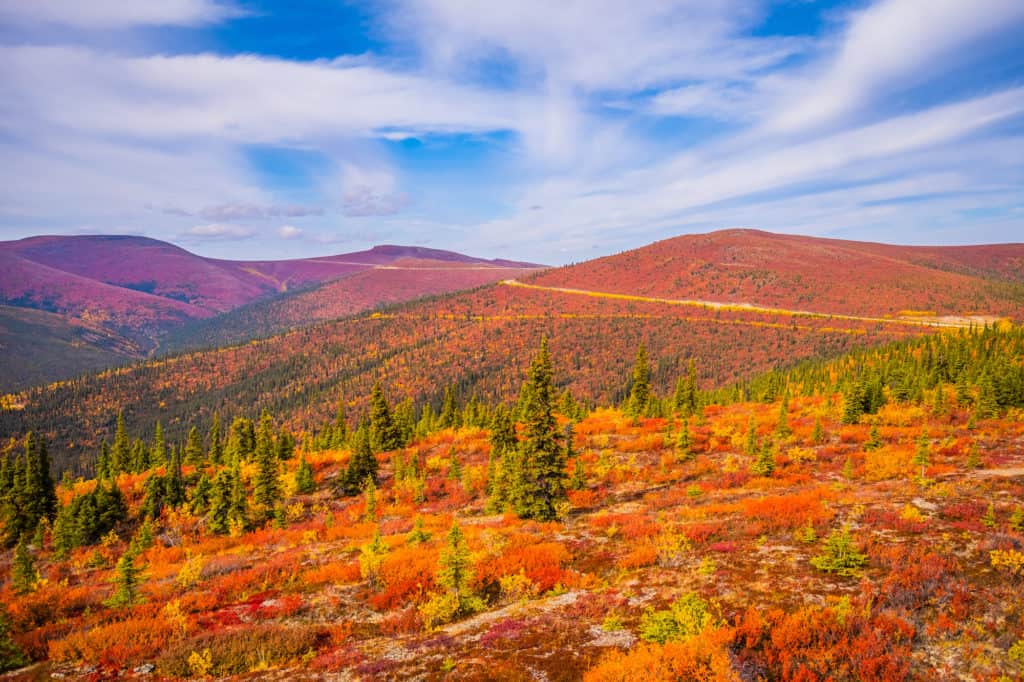Yukon Road Trip