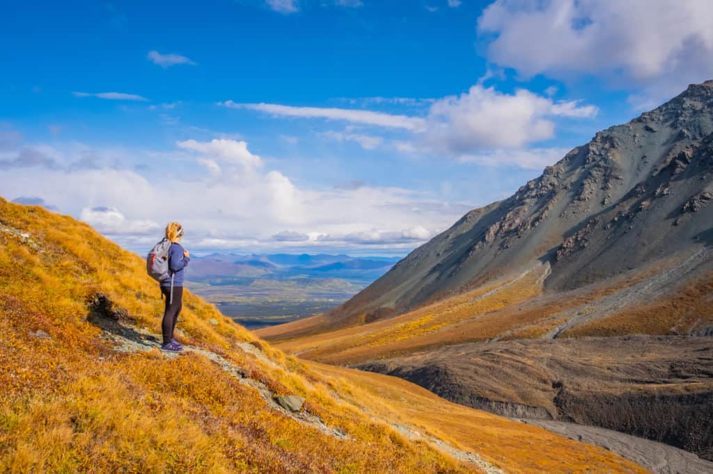 Yukon Road Trip