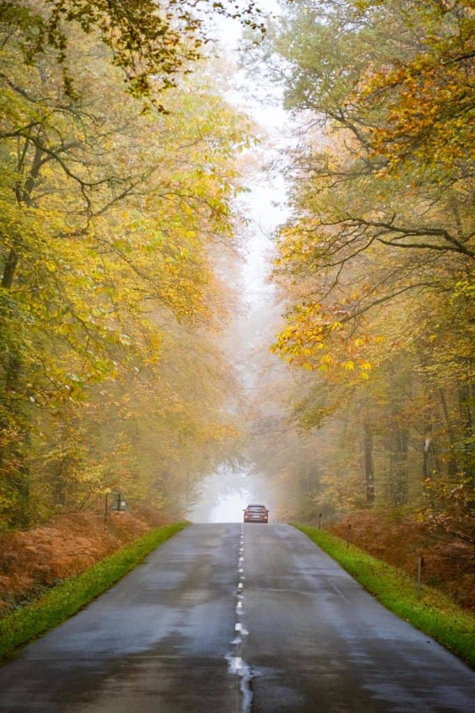 Car Driving Brittany France