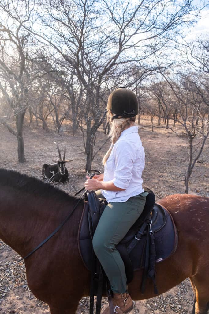 The Best Safari Clothes for Women (Outfit Ideas)