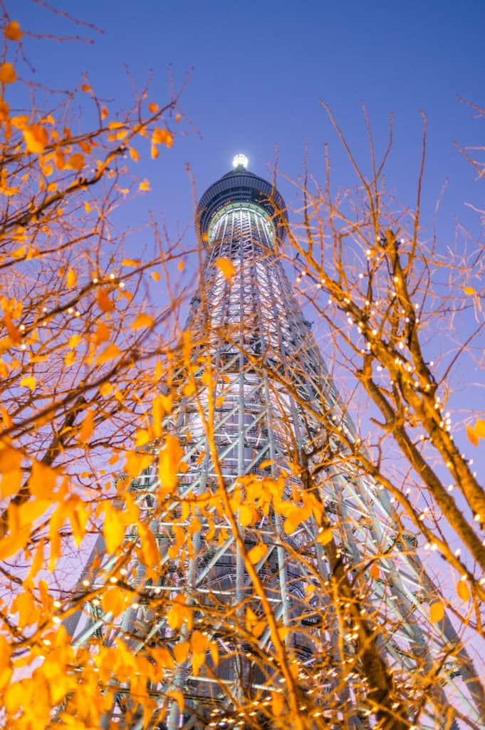 Things to do in Tokyo