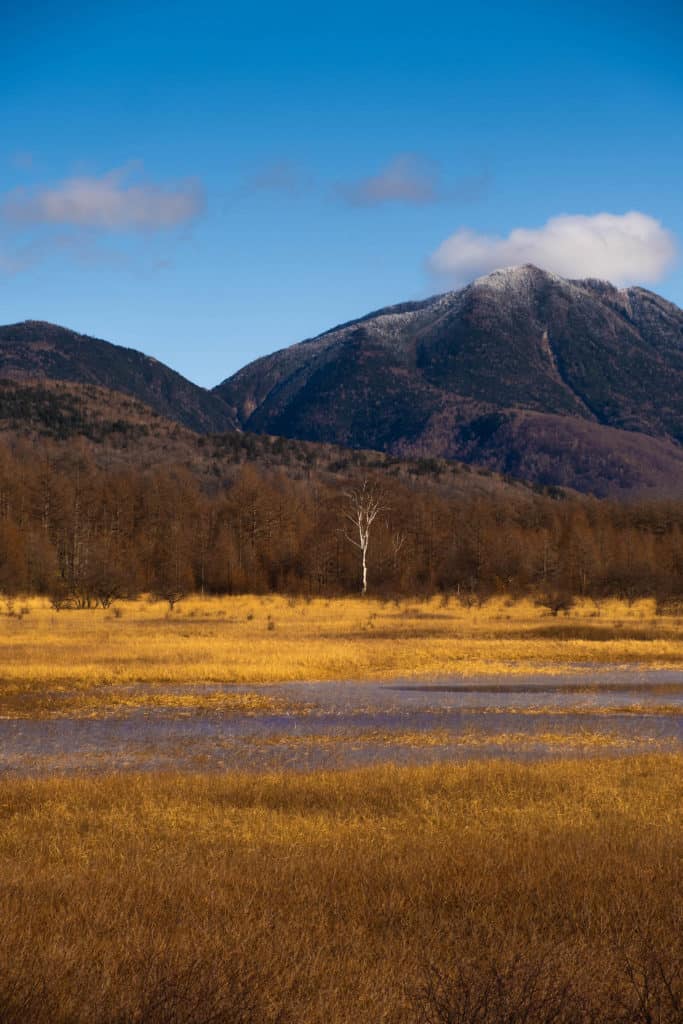 Things to do in Nikko