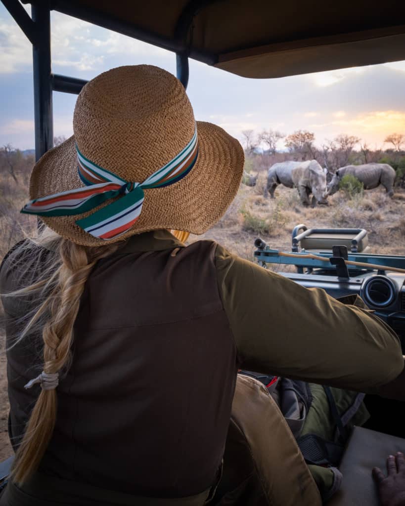 On A Game Drive In Madikwe Game Reserve