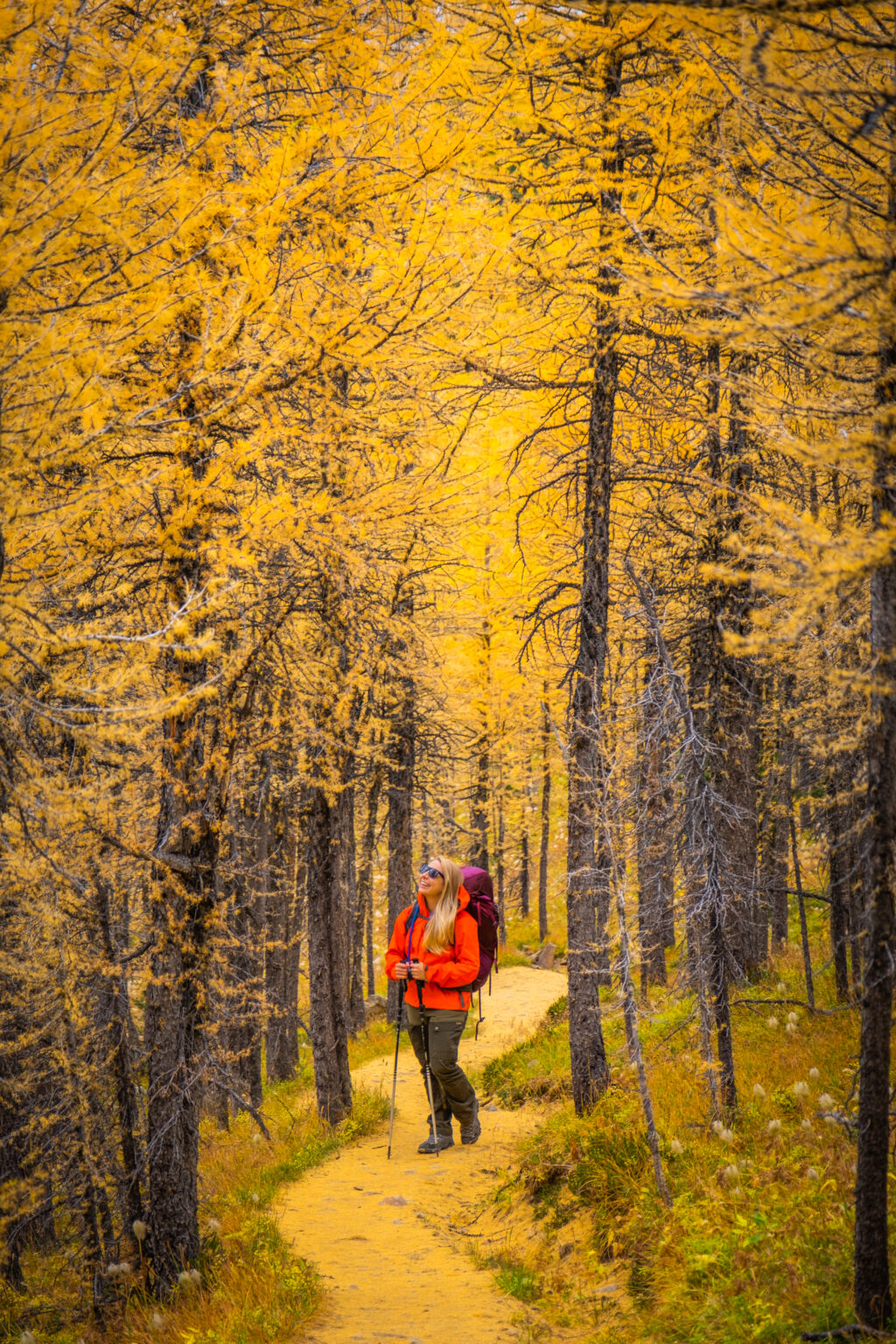 BEST Osprey Backpacks For Women (Day Pack, Hiking, Travel