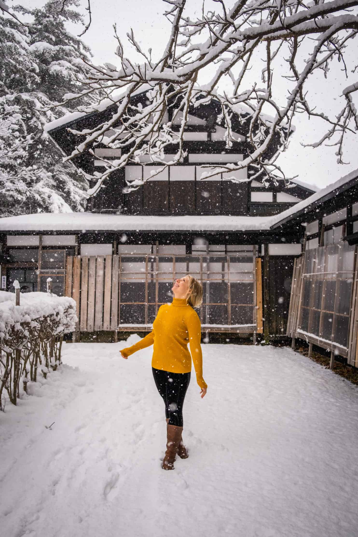 TOHOKU TRAVEL TIPS visual data 8