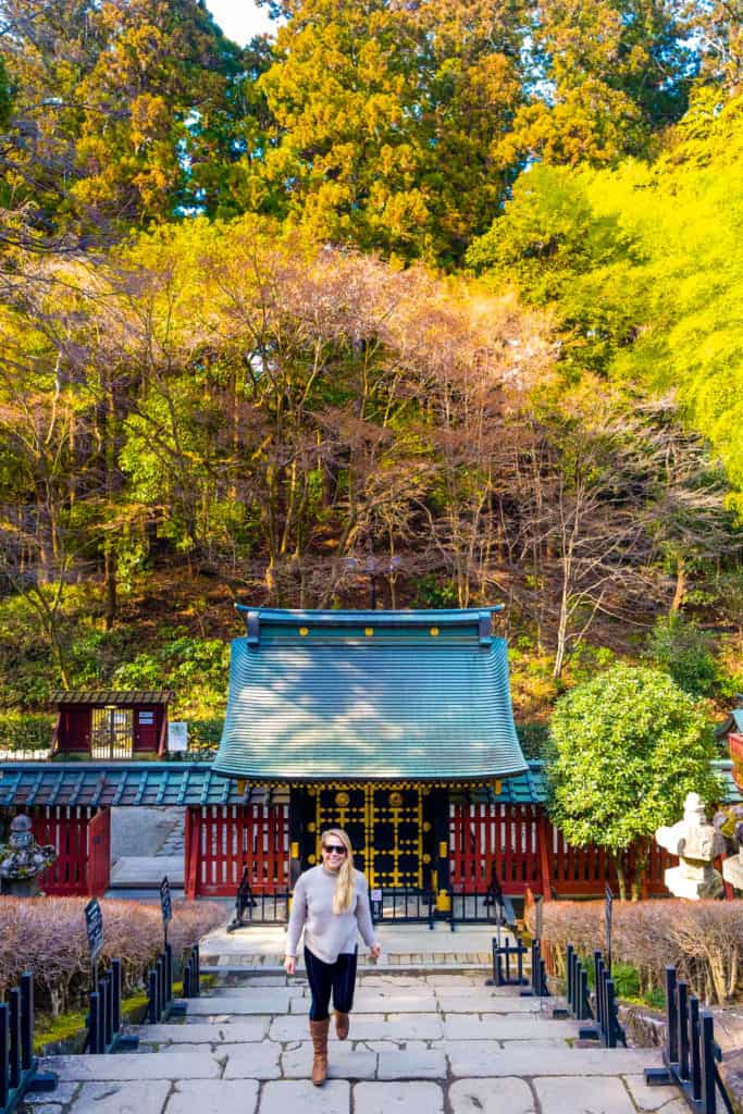 Travel to Tohoku