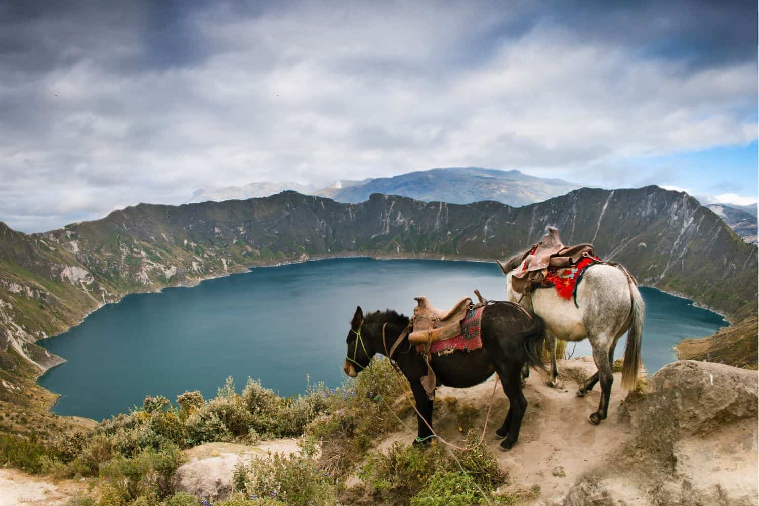 wilderness travel ecuador