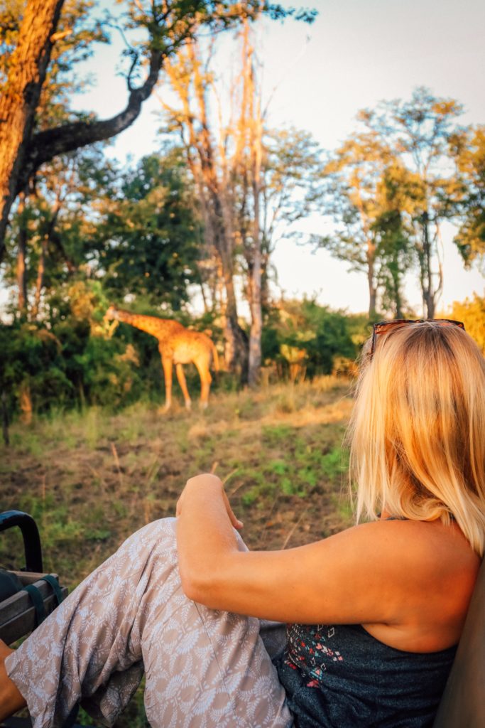 Africa travel