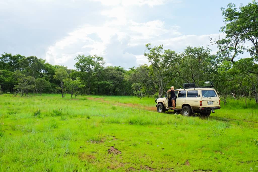 Africa travel