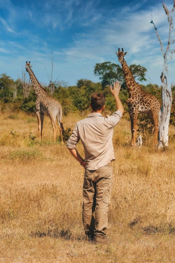 safari quotes