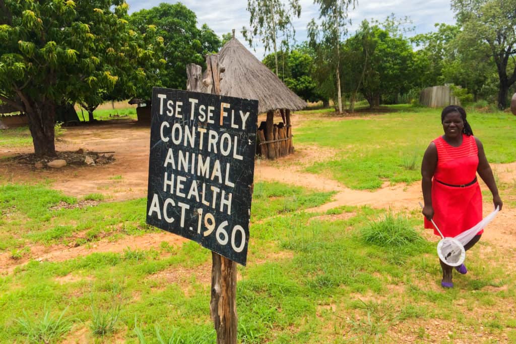 Africa travel