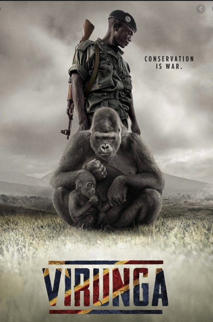 Best Safari Movies