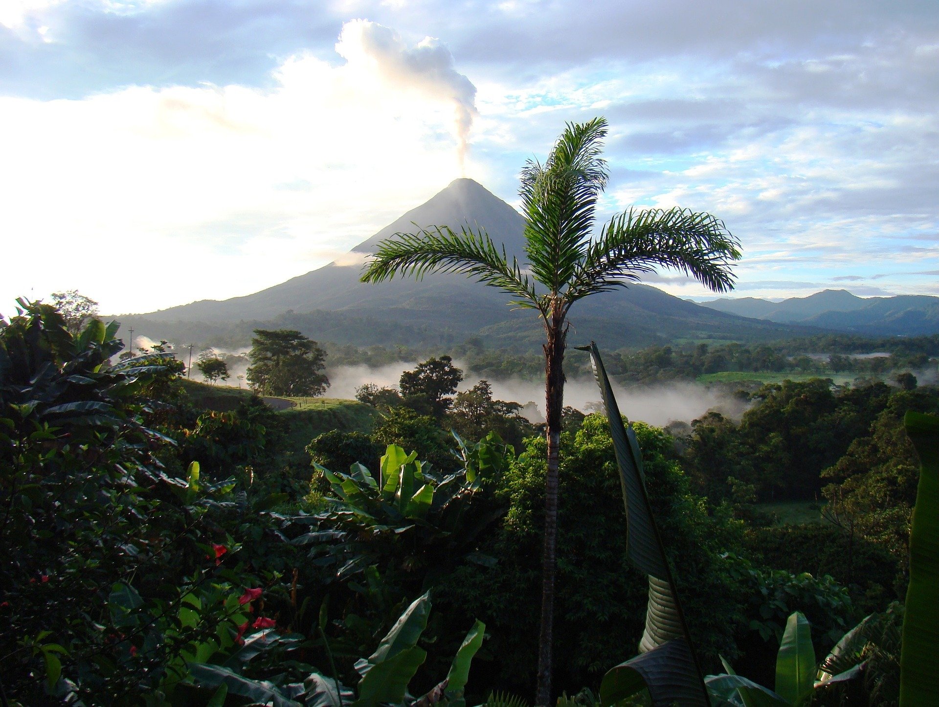 Costa Rica Jungle