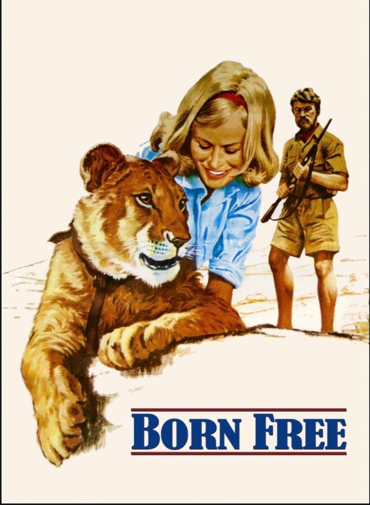 Best Safari Movies