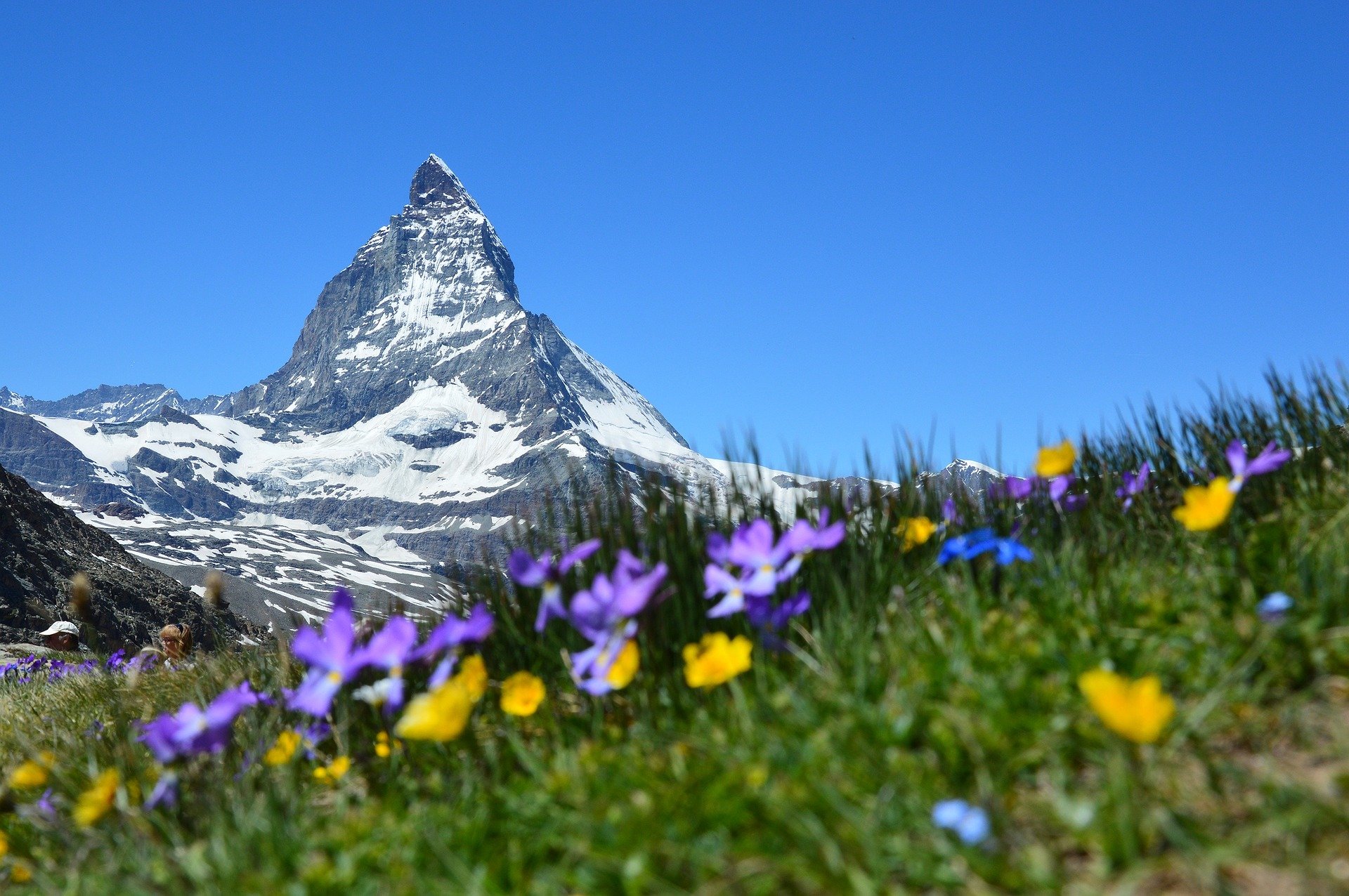 Zermatt Summer