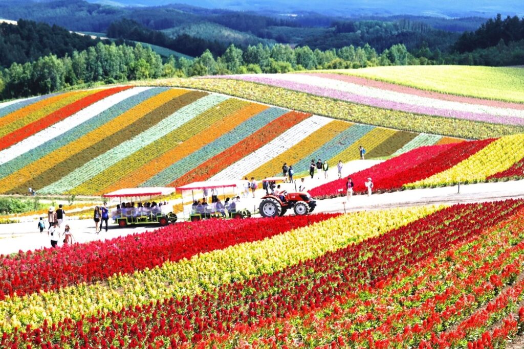 31 FUN Facts About Japan You Should Know