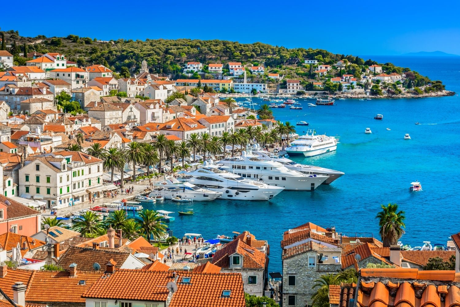 The Marina Of Hvar Croatia