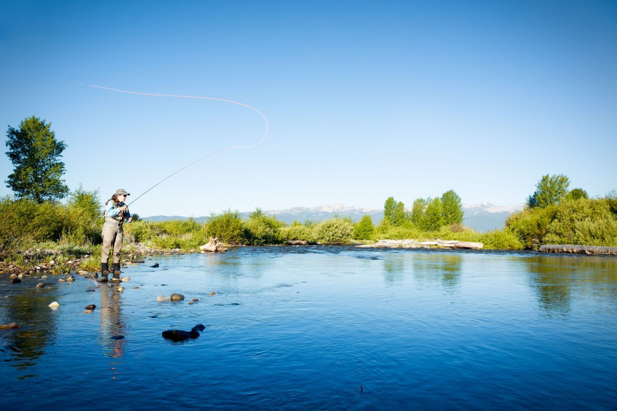 15 Best Things To Do in Whitefish, Montana