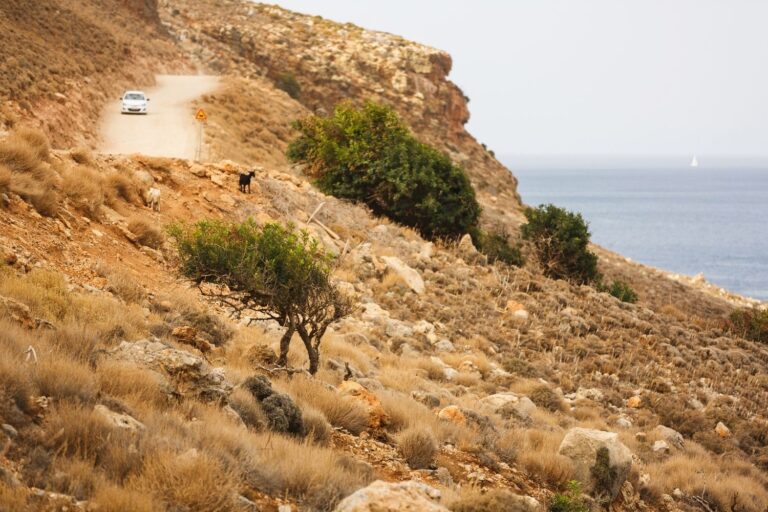 Should You Rent A Car In Crete? What To Know BEFORE Booking