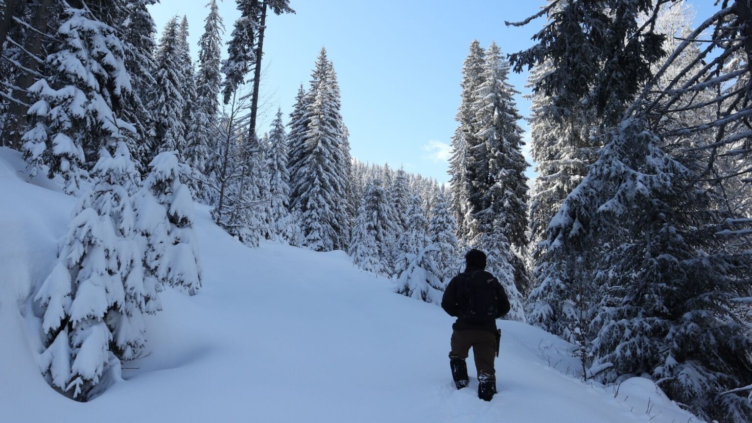 Hiking In The Snow 10 Helpful Tips To Know Before You Adventure!