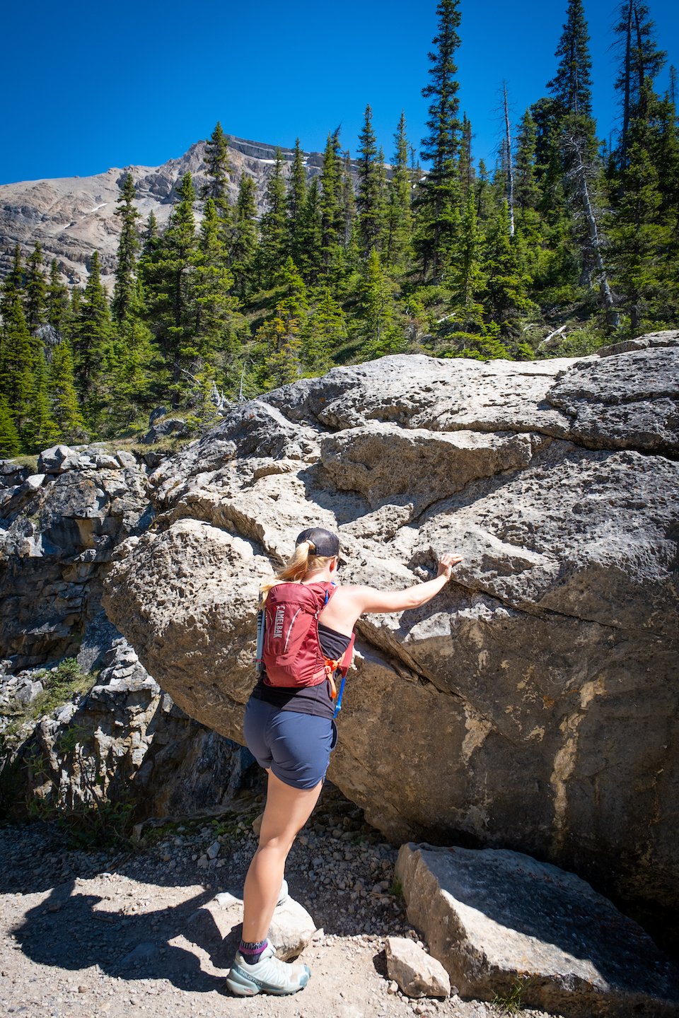 Hiking hotsell shorts women