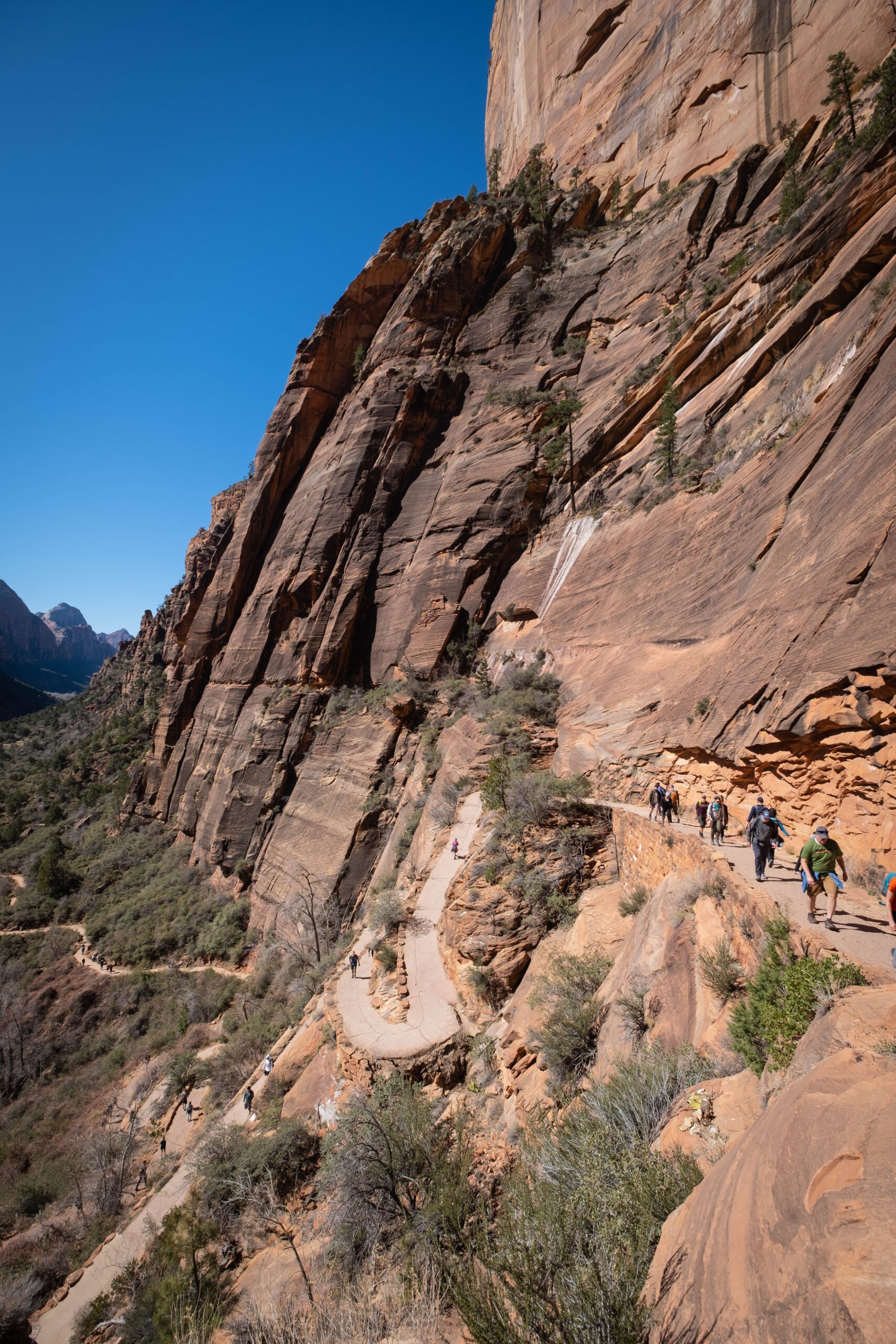 West Rim Trail Hike in Zion to Scouts Lookout and Angels Landing