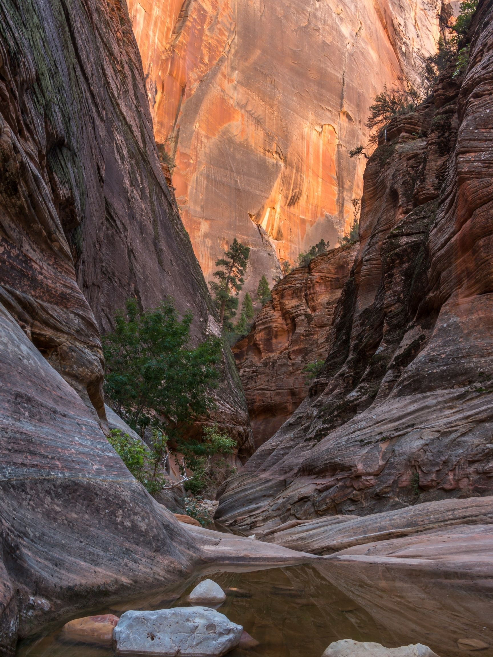 Canyon en route to Observation Point in Zion