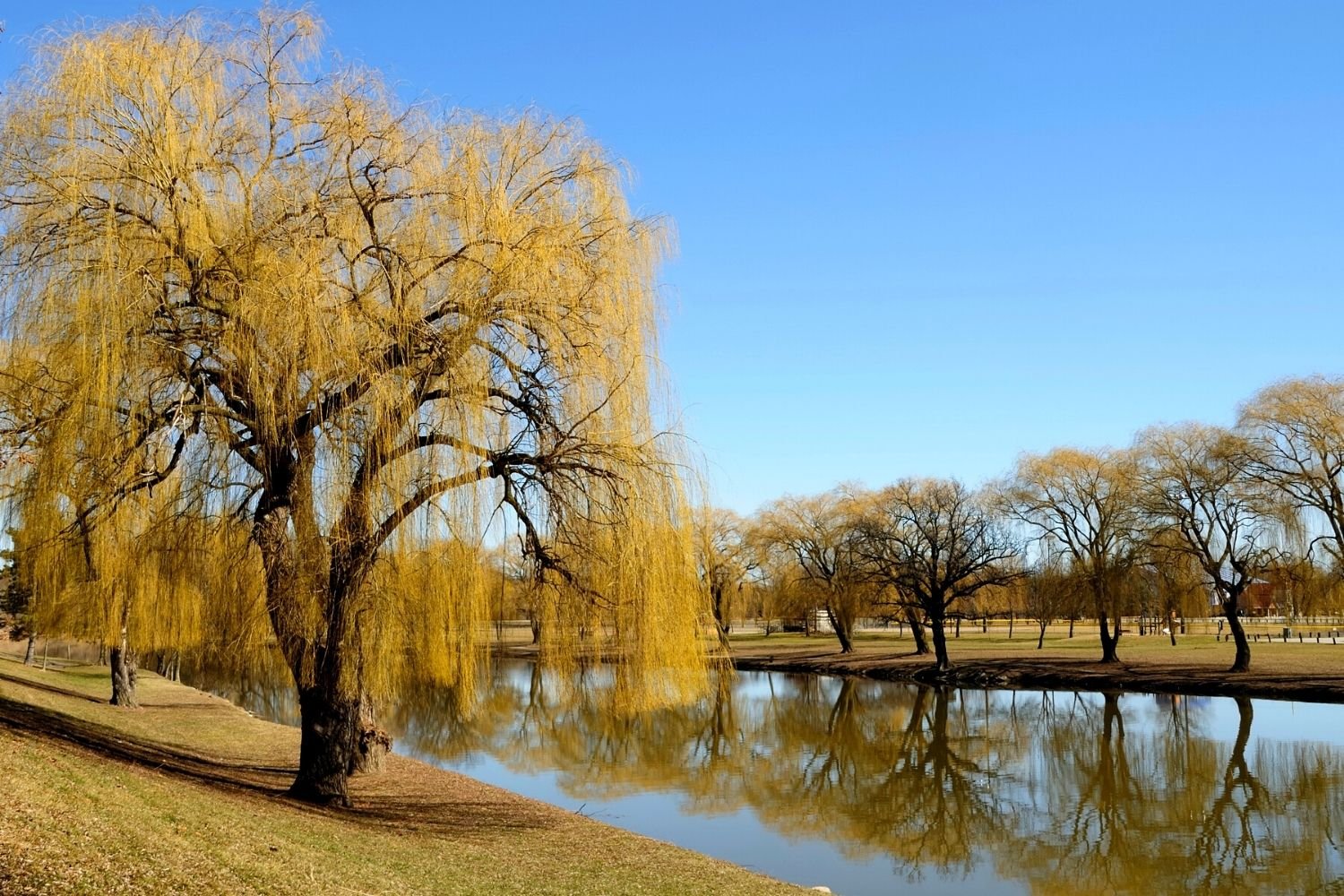 Park in Frankenmuth Michigan