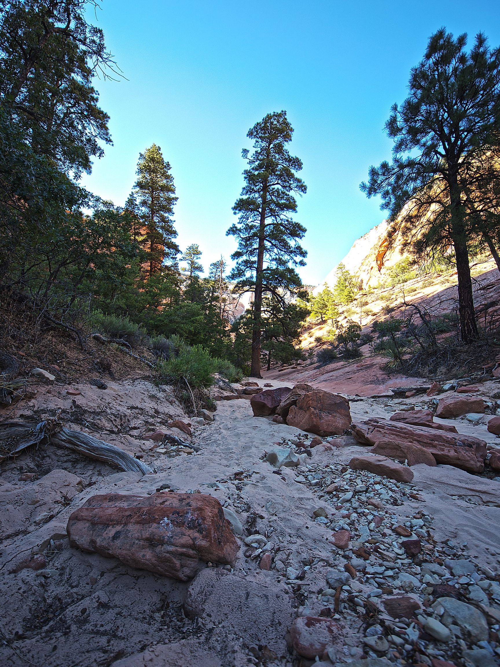 Hidden Canyon In Zion National Park