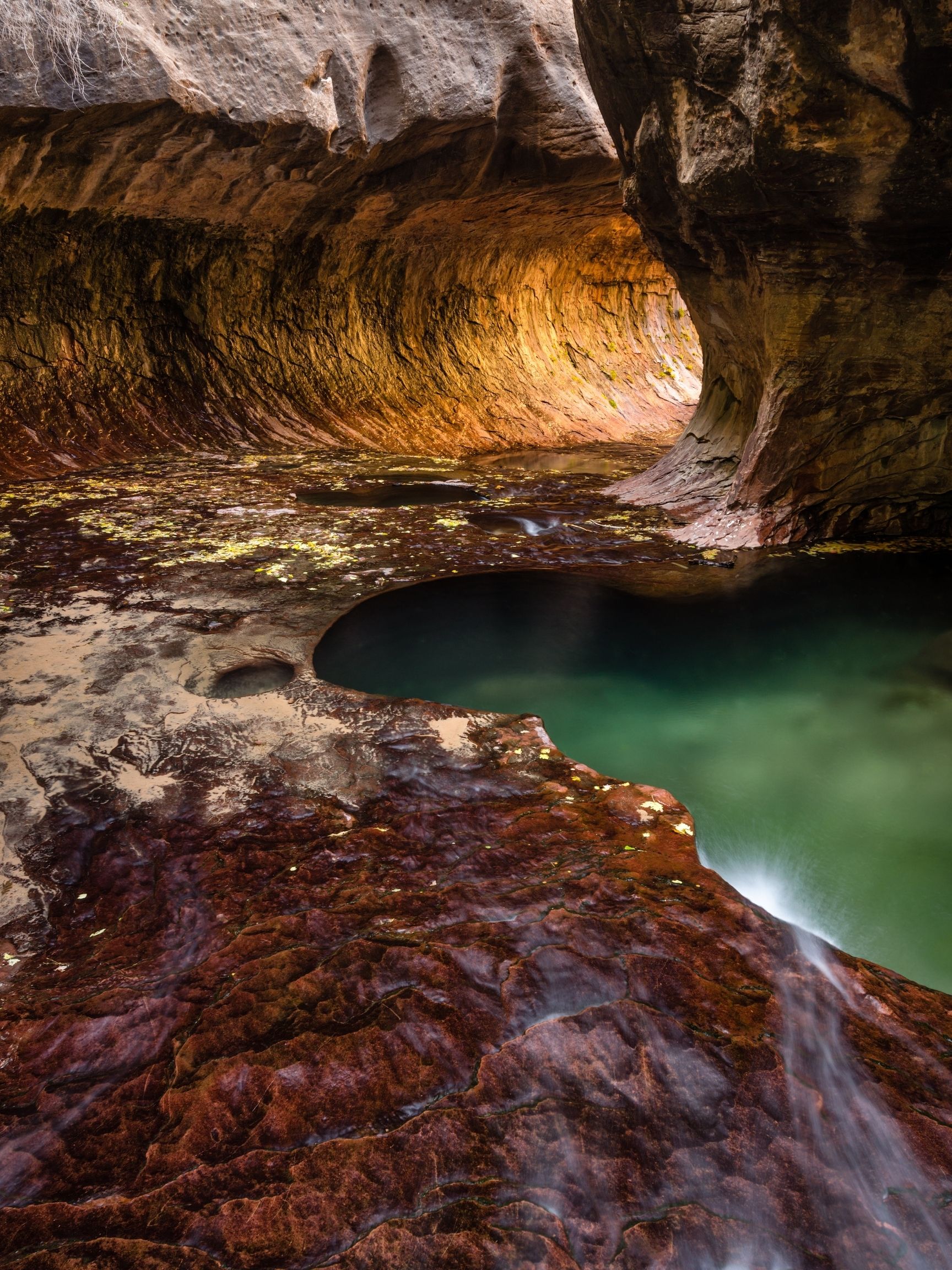 The Subway in Zion National Park