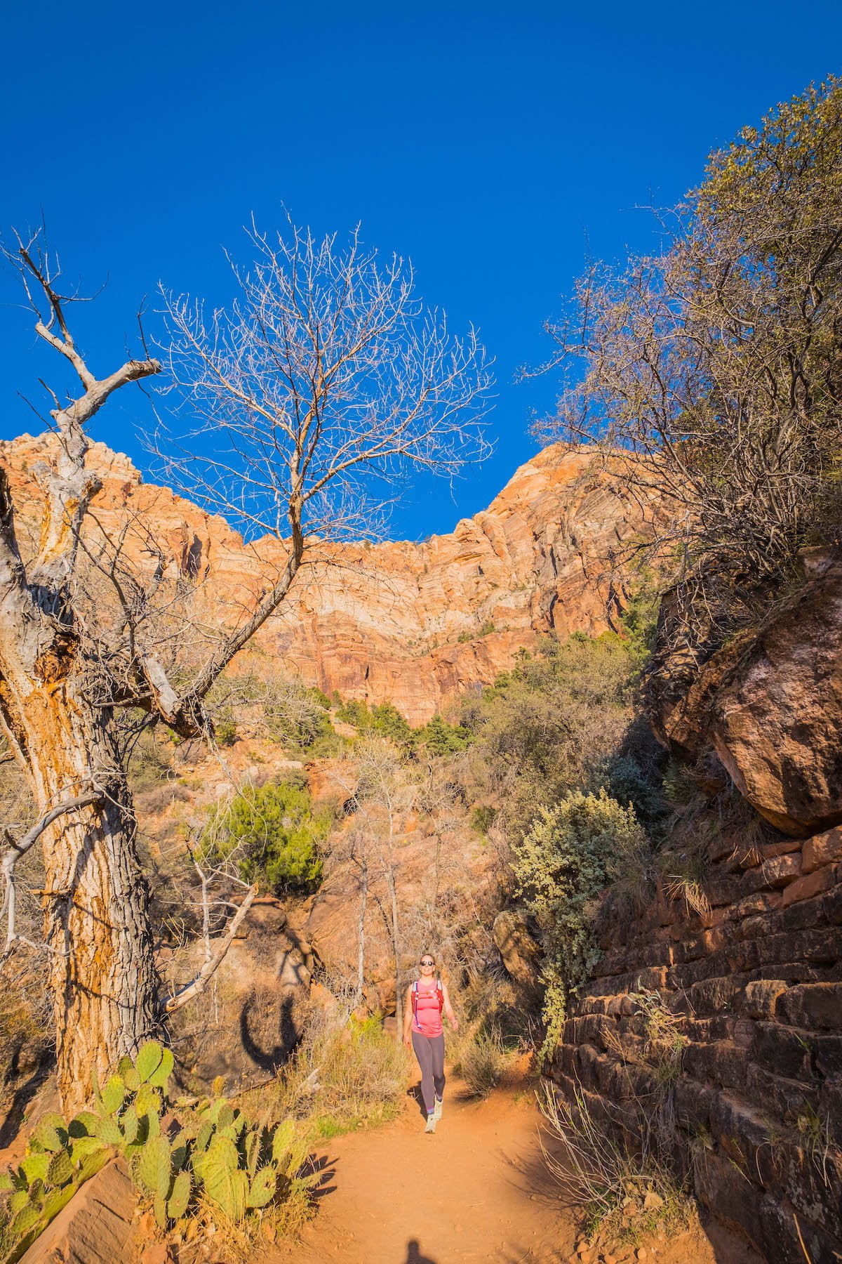 Watchman trail in zion