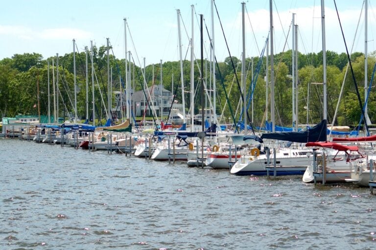 15 CHARMING Things To Do In Saugatuck (2024)