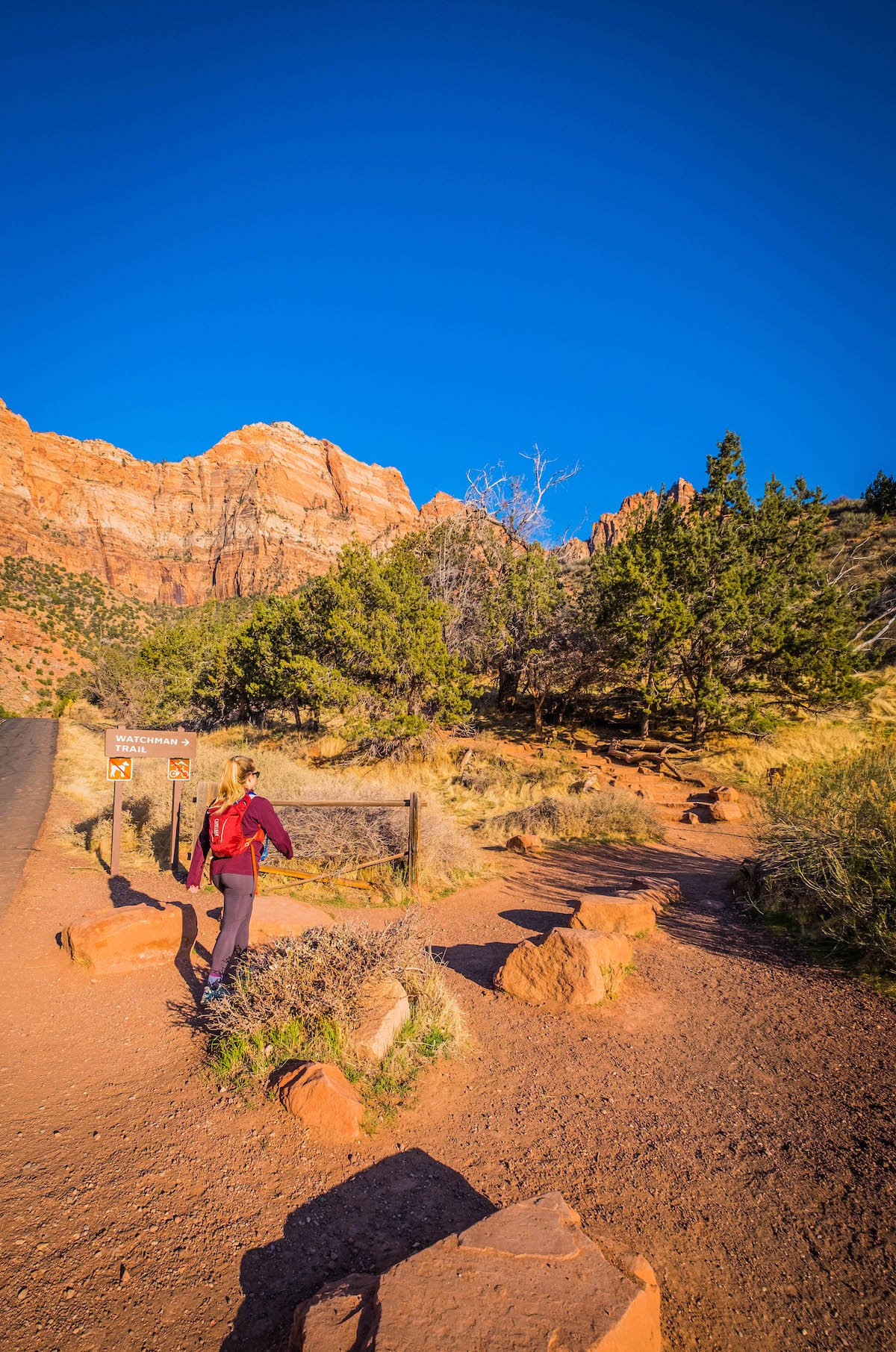 Watchman trail in zion