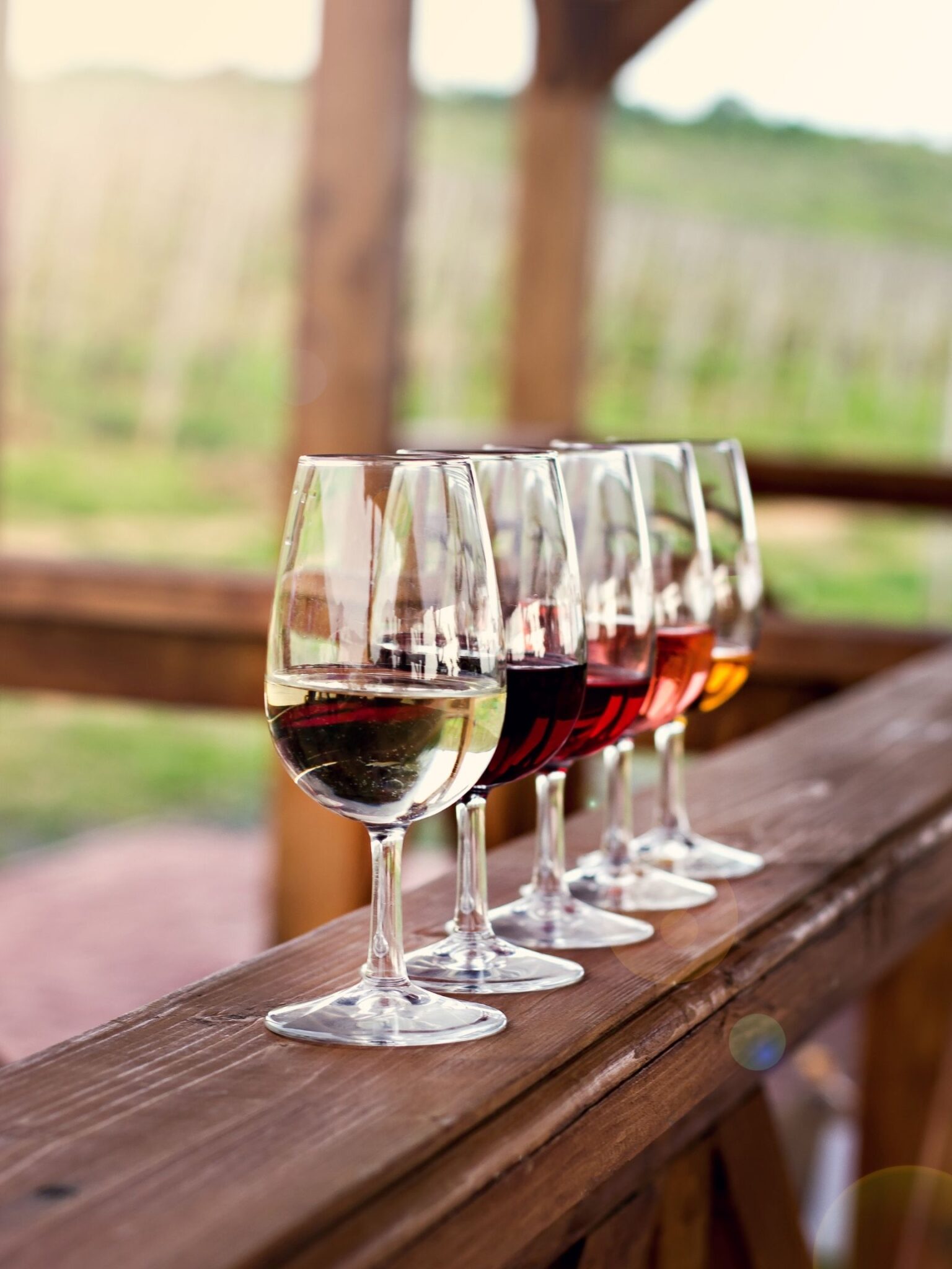 15 CHARMING Things To Do In Saugatuck (2024)