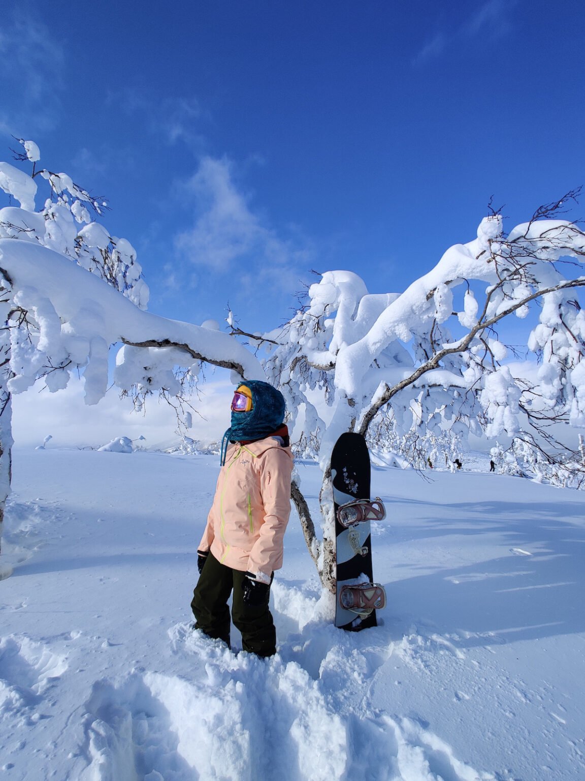 When Is The BEST Time To Visit Hokkaido?