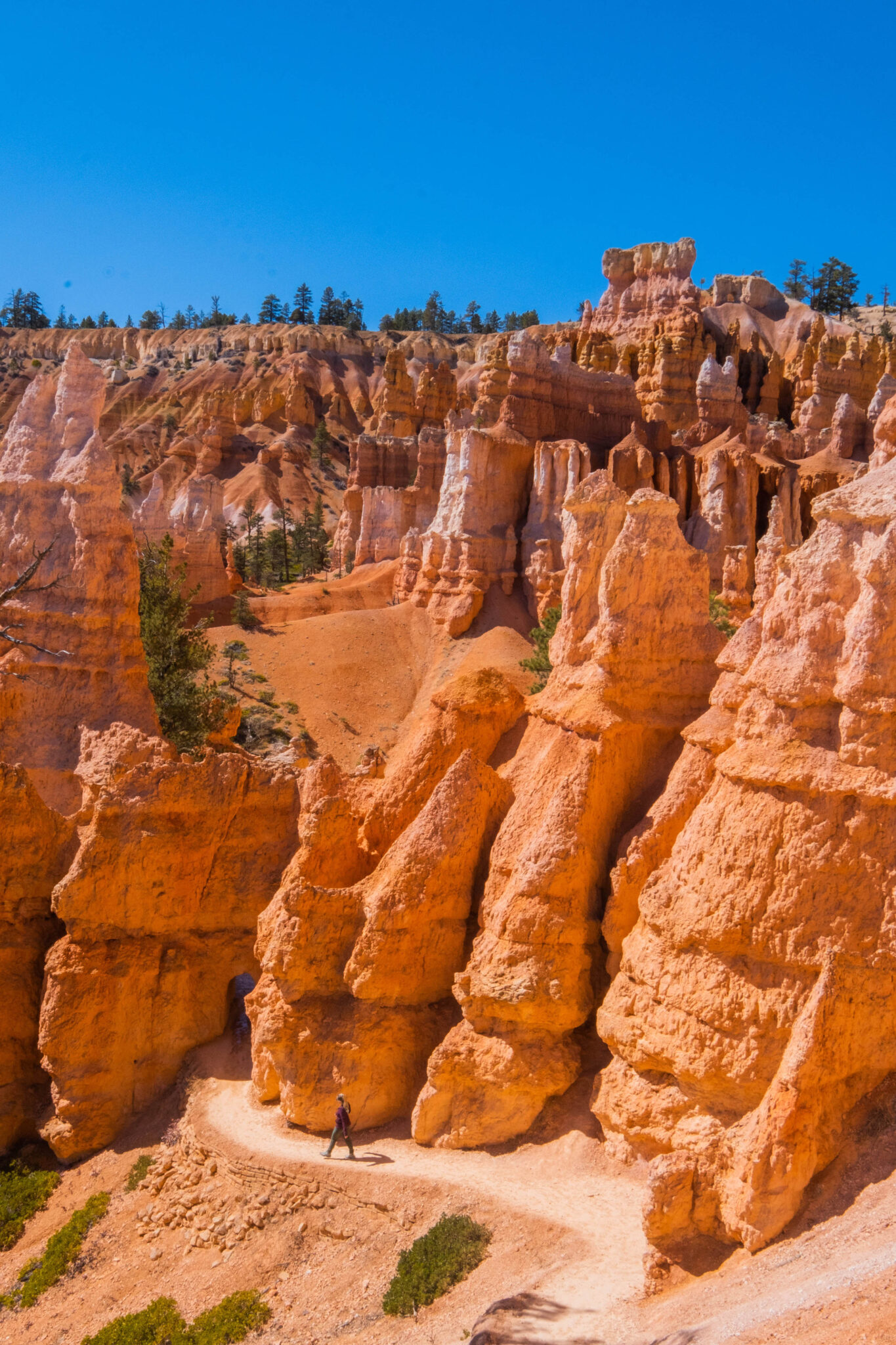 11 Best Hikes In Bryce Canyon National Park