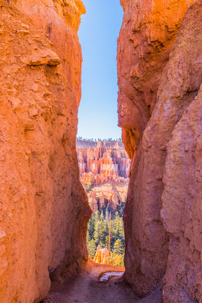11 Best Hikes In Bryce Canyon National Park