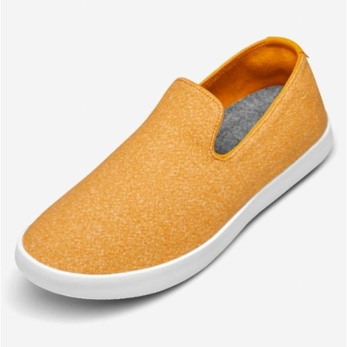 Allbirds on sale presidio palette