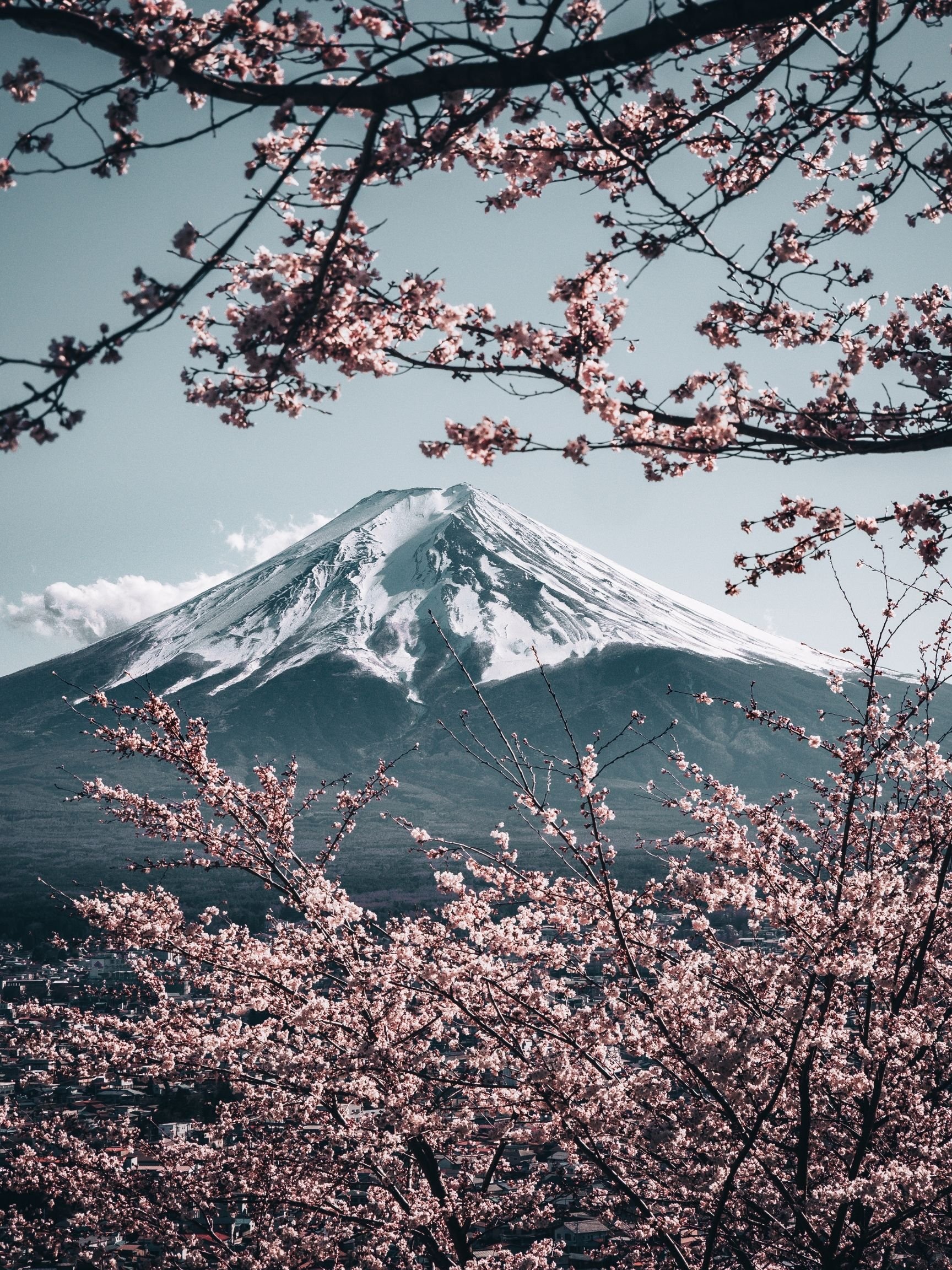 fatos sobre o Japão