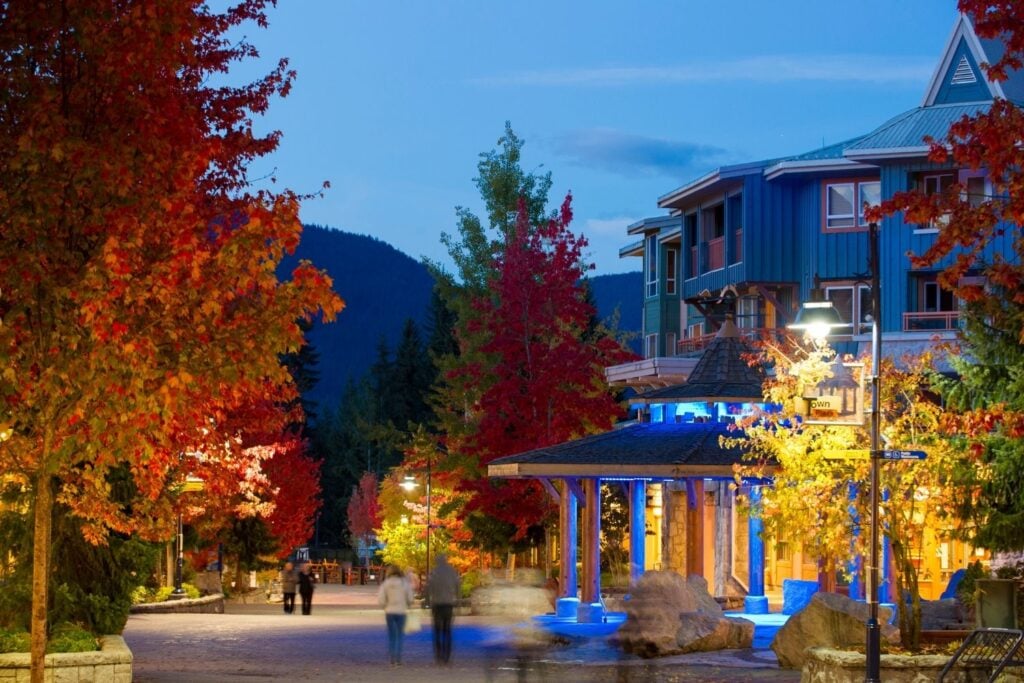 21 BEST Whistler Restaurants To Dine At (2024)