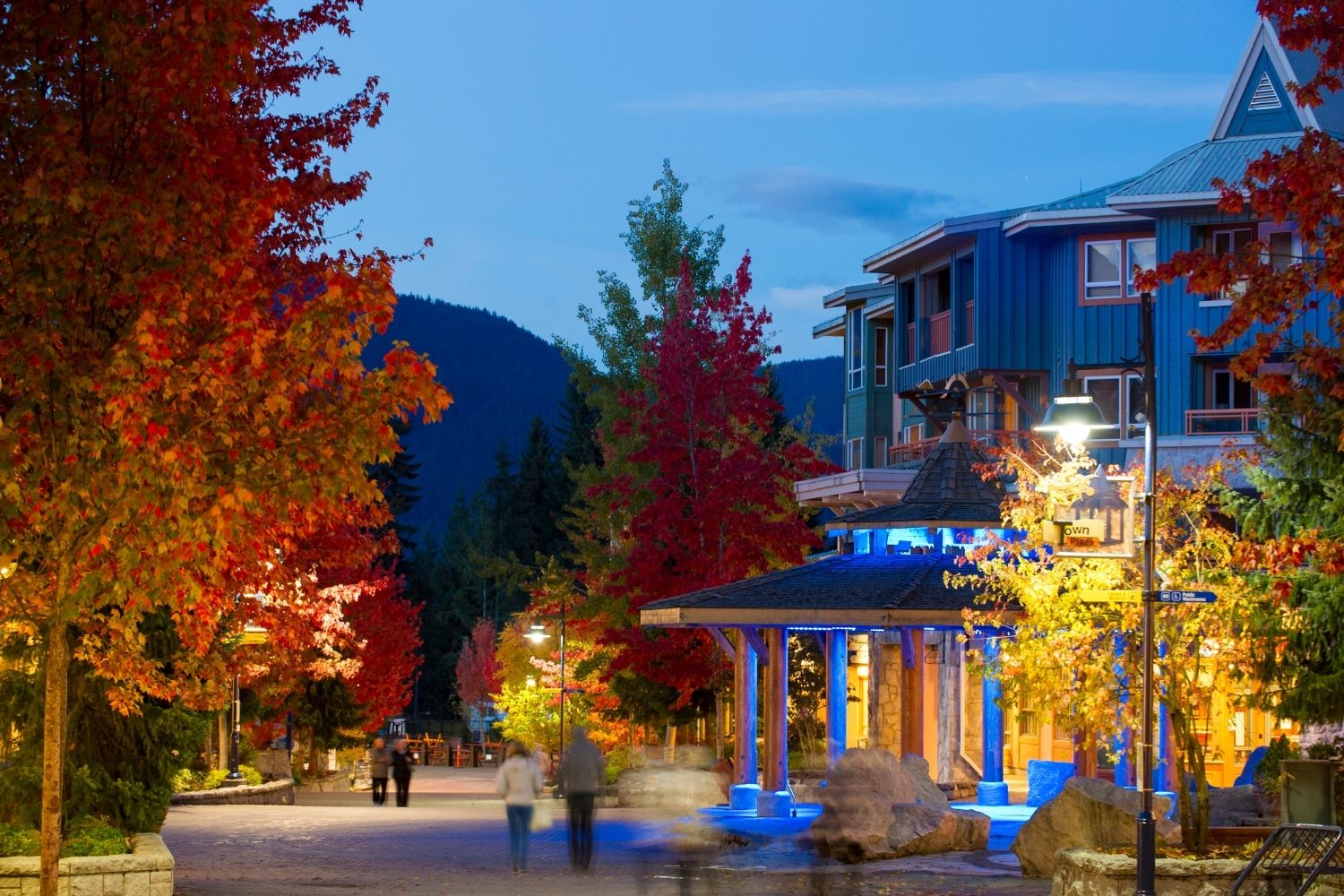 21 BEST Whistler Eating places To Dine At (2023) My blog