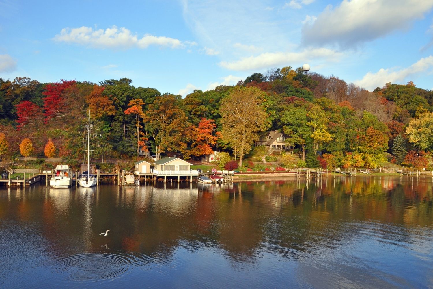 20 BEST Saugatuck Restaurants To Try In 2024